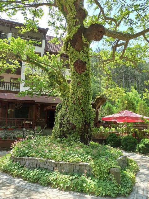 Семеен Хотел Хайдутите Hotel in Blagoevgrad Province