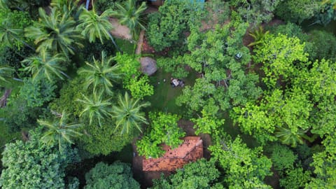 Restaurant/places to eat, Restaurant/places to eat, Natural landscape