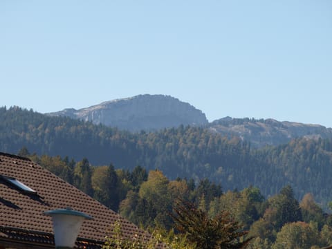 Alpenflair Ferienwohnungen, Whg 225 Gipfelblick Apartment in Oberstdorf