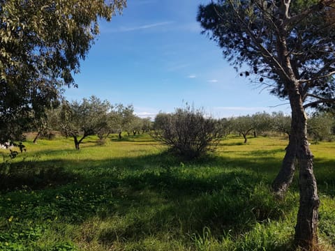House Mia Apartment in Cala Liberotto