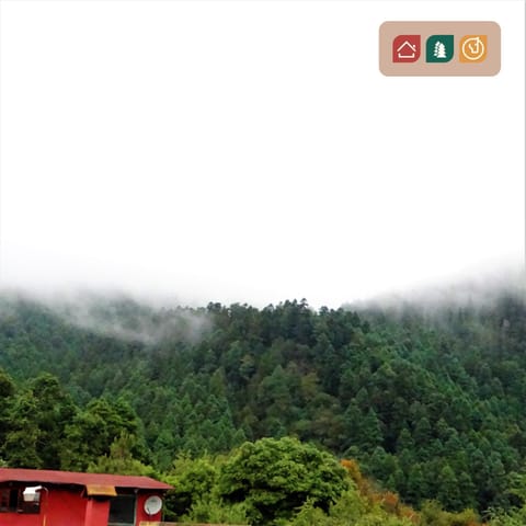 Rancho EL PARAÍSO AJUSCO Nature lodge in Mexico City