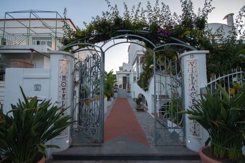Property building, Garden view