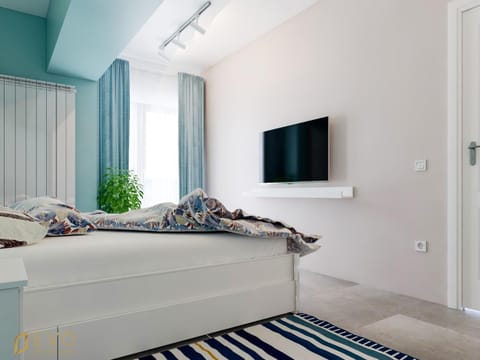 TV and multimedia