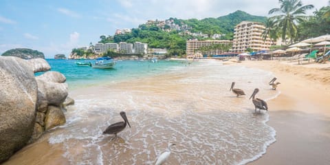 Activities, Beach, Entertainment