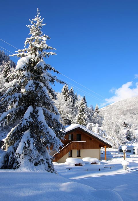 Chalet Presanella Apartment in Province of Brescia