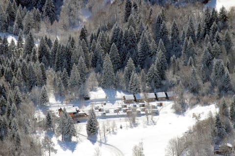 Bird's eye view, Winter, View (from property/room)