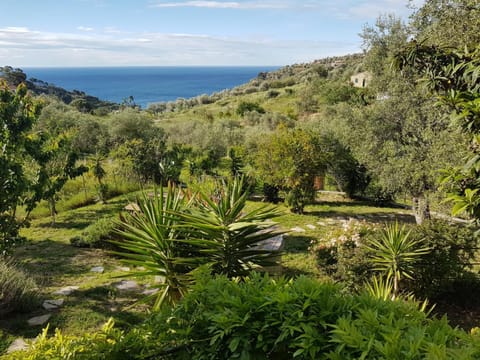 Garden, Garden view, Sea view