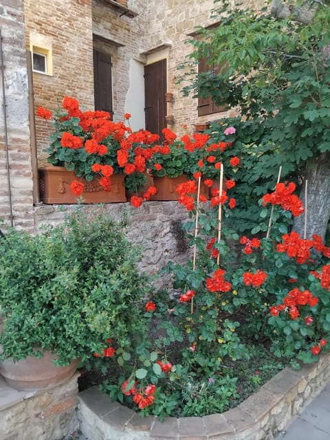 Torre alle Antiche Mura Apartment in Montepulciano