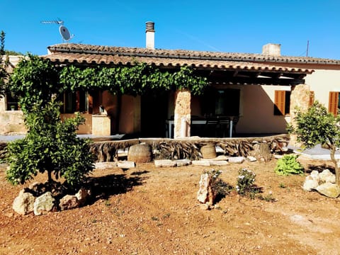 Property building, Garden, Garden view