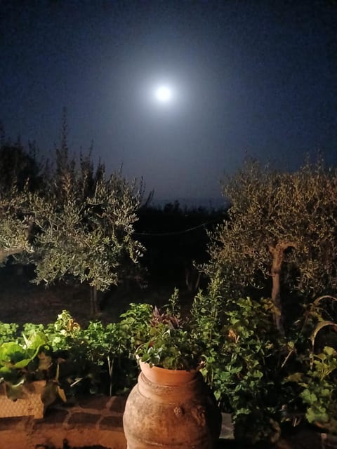 Poggio La Grognola Bed and Breakfast in Umbria