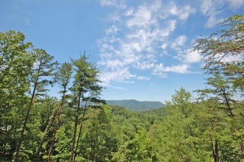 Blackbeary Bluff House in Pigeon Forge