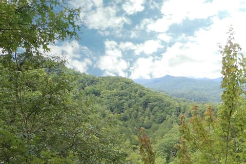 Smoky Mountain Majesty House in Pigeon Forge