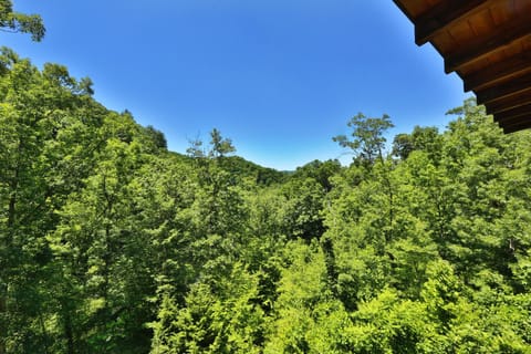 Fox Den House in Pigeon Forge