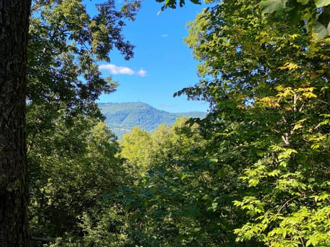 Stardust Mountain House in Pigeon Forge