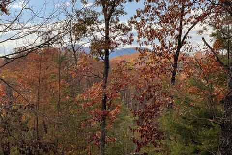 Mountain Dreams House in Pigeon Forge