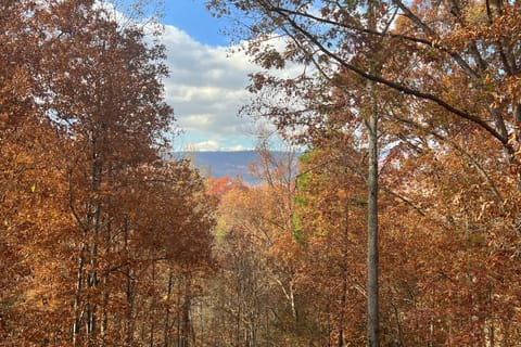 Bear Crossing House in Pigeon Forge