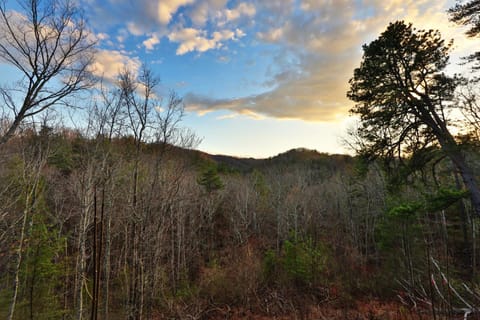 Shooting Stars House in Pigeon Forge