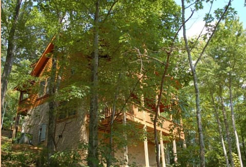 Treetops House in Pigeon Forge