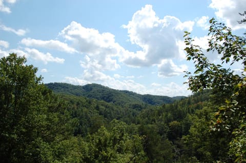 Treetops House in Pigeon Forge