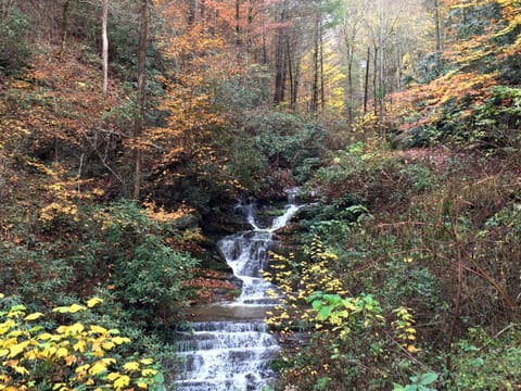Lodge Between the Streams House in Pigeon Forge