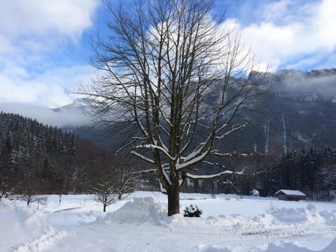 Alpaka-Hof Landinger Apartment in Aschau im Chiemgau