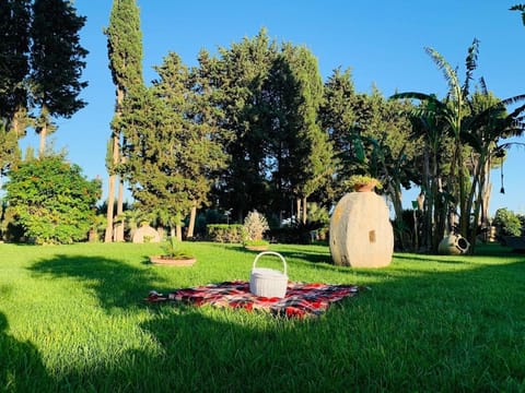 Spring, Day, Natural landscape, Garden, Garden view, sunbed