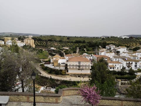 City view, Street view