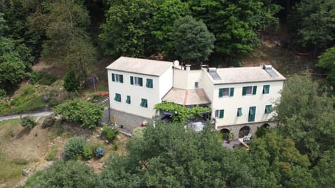 Property building, Bird's eye view