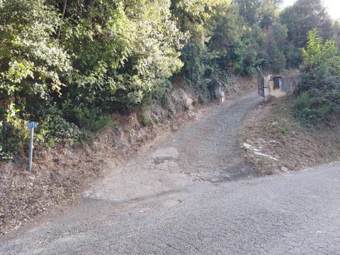 Ribellu Villa in Bastia