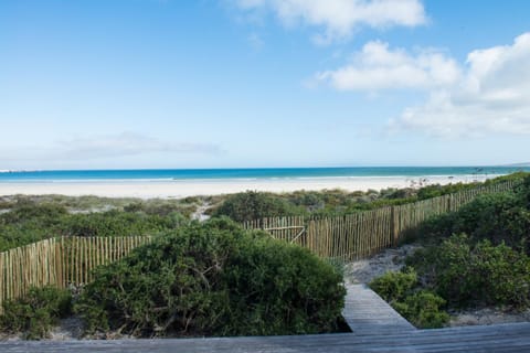 Driftwood House in Western Cape