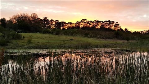 Natural landscape, Hiking, Garden view, Lake view, Sunset