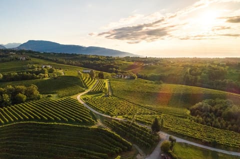 Logo/Certificate/Sign