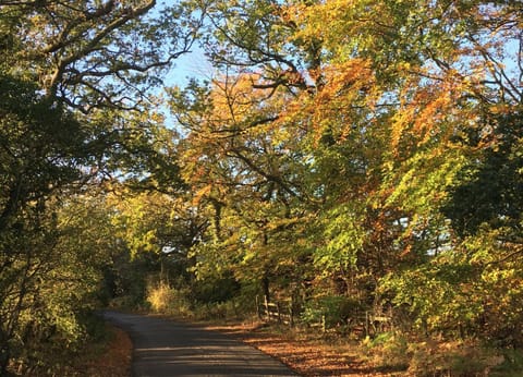 Natural landscape, Hiking
