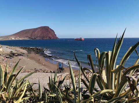 Natural landscape, Beach, Sea view