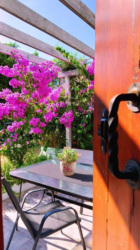 Patio, Day, Garden, Balcony/Terrace, Garden view