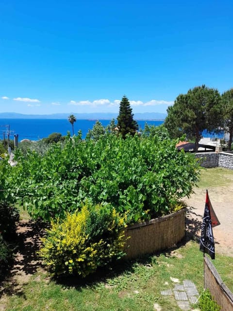 ELGEORGE HOME House in Messenia