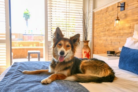 The Cliffs Hotel and Spa Resort in Pismo Beach