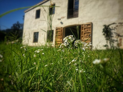 Facade/entrance, Garden