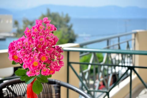 Balcony/Terrace, Decorative detail, Sea view