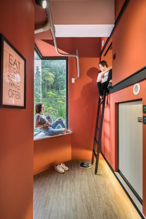 bunk bed