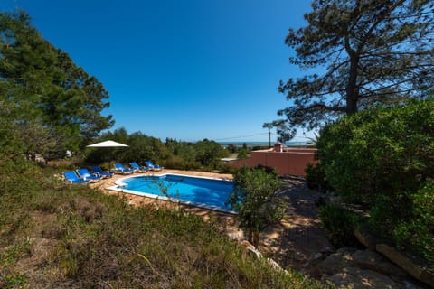 Day, Natural landscape, Garden, Swimming pool, sunbed