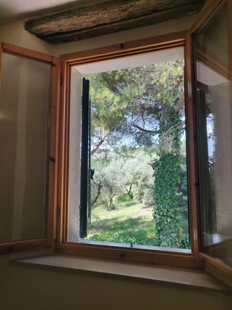 Spring, Garden, Garden view