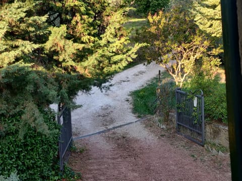 Spring, Natural landscape