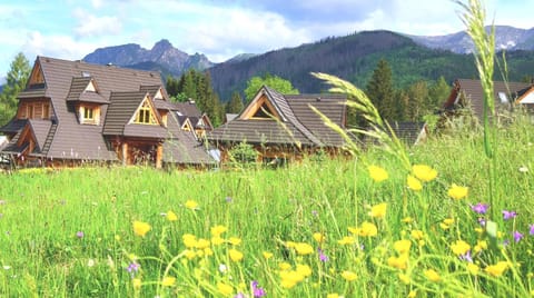 Natural landscape, Garden