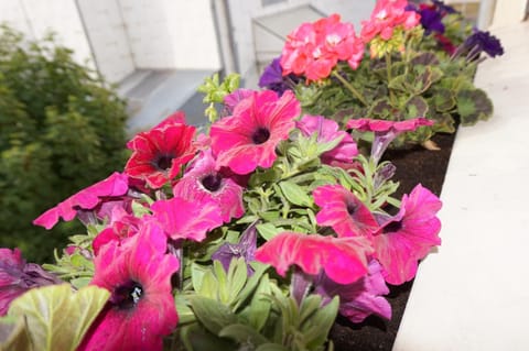 Appartement de standing Apartment in Berck