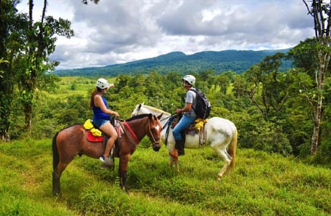Activities, Horse-riding, Aqua park