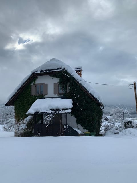 Property building, Winter