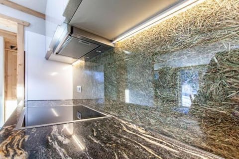 Casa de Wisa House in Vorarlberg, Austria