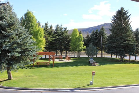 Day, Garden