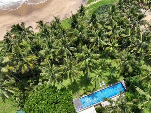 Bird's eye view, Garden, Swimming pool